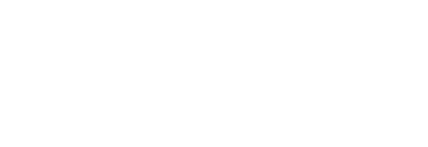 Barie.AI